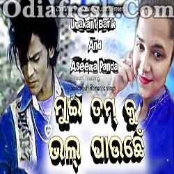 Mui Tamku Bhal Pauchhen - Sambalpuri Odia Mix Song By Asima Panda,Umakanta